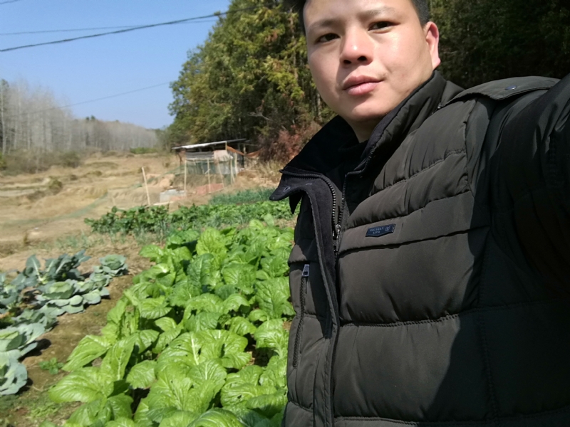 倔强的驴的第一张照片--沙县相亲网