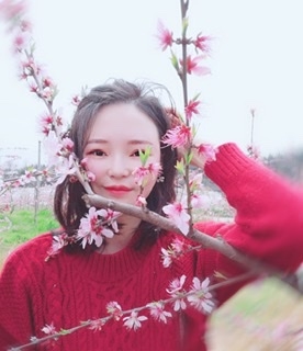小桌子的第一张照片--沙县相亲网