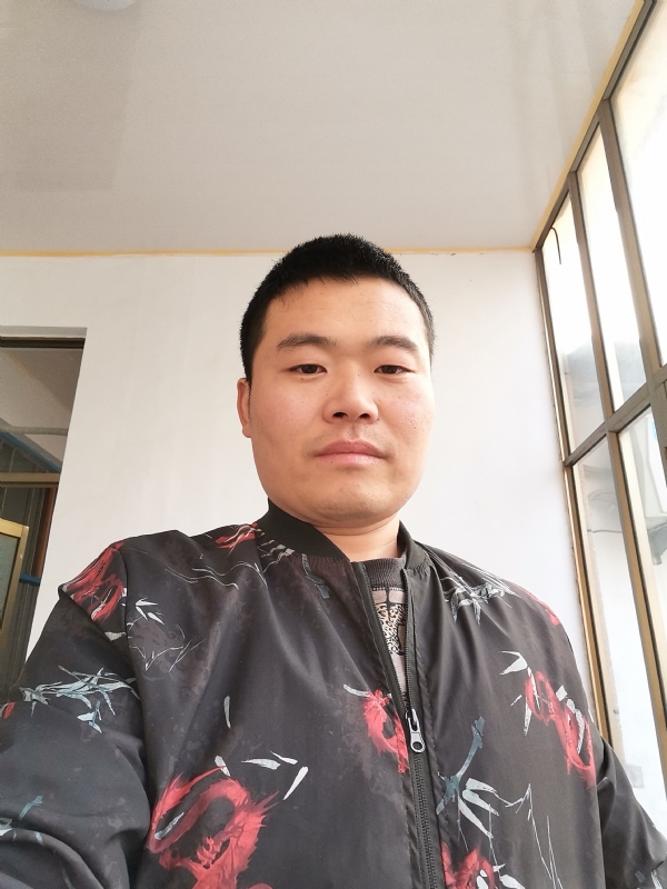 会飞的猪的第一张照片--沙县相亲网