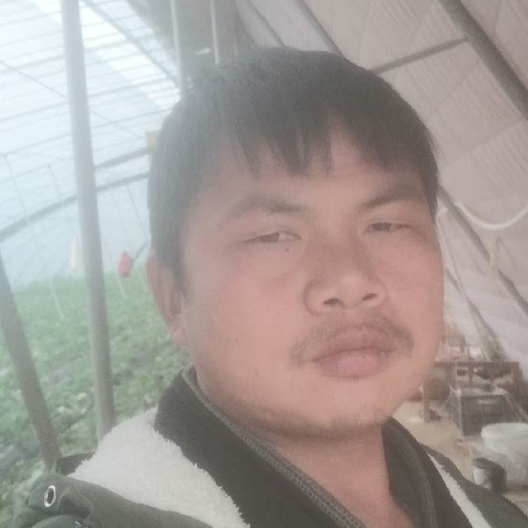 孤狼‘的第一张照片--沙县相亲网