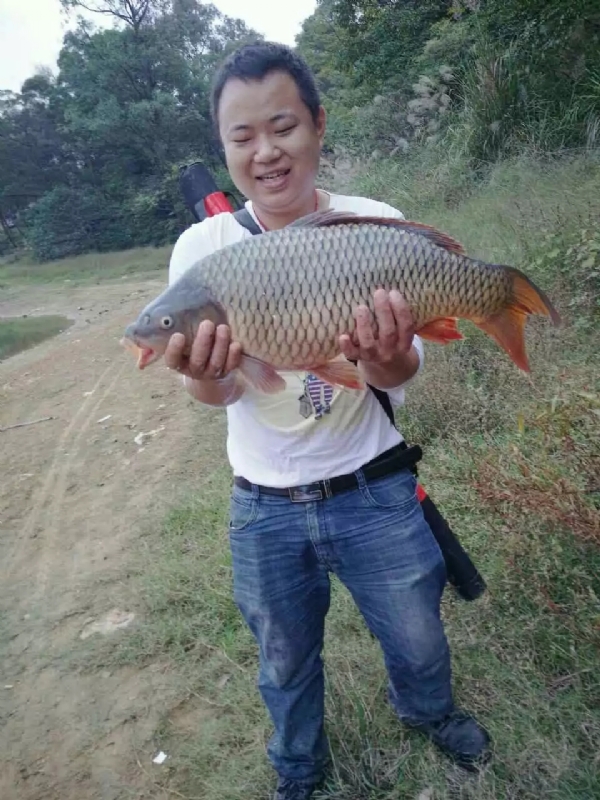 迷路的男人的第一张照片--沙县相亲网