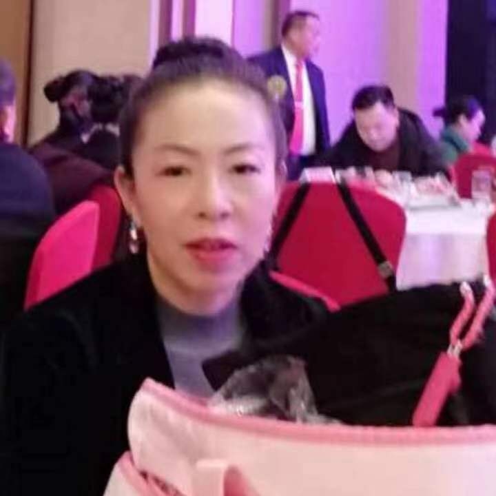 中秋桂花玉兔的第四张照片--沙县相亲网