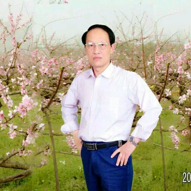 枫叶的第一张照片--沙县相亲网